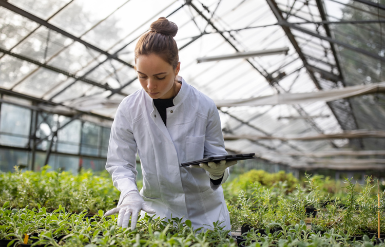 Person in greenhouse